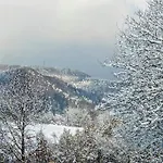 Chez Mar'tine * Niederbronn-les-Bains