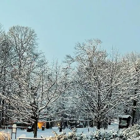 Chez Mar'tine Niederbronn-les-Bains